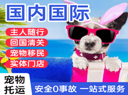 湘西边城机场邮寄国际宠物托运 【国